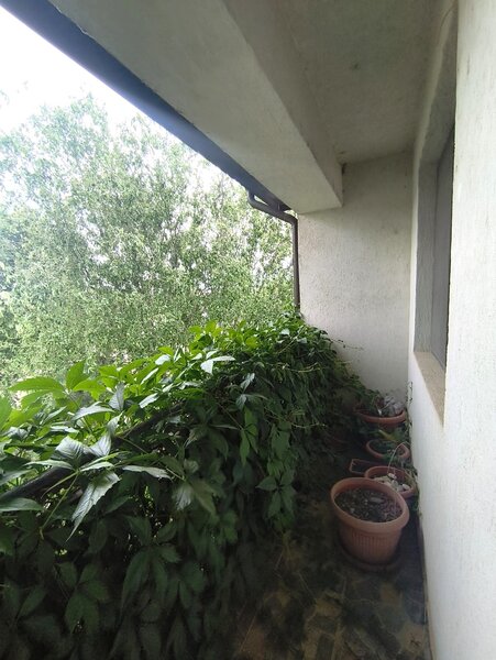 Cernica- Pantelimon- Casa de vanzare- Comision 0% - 231.000 EUR