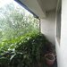 Cernica- Pantelimon- Casa de vanzare- Comision 0% - 231.000 EUR
